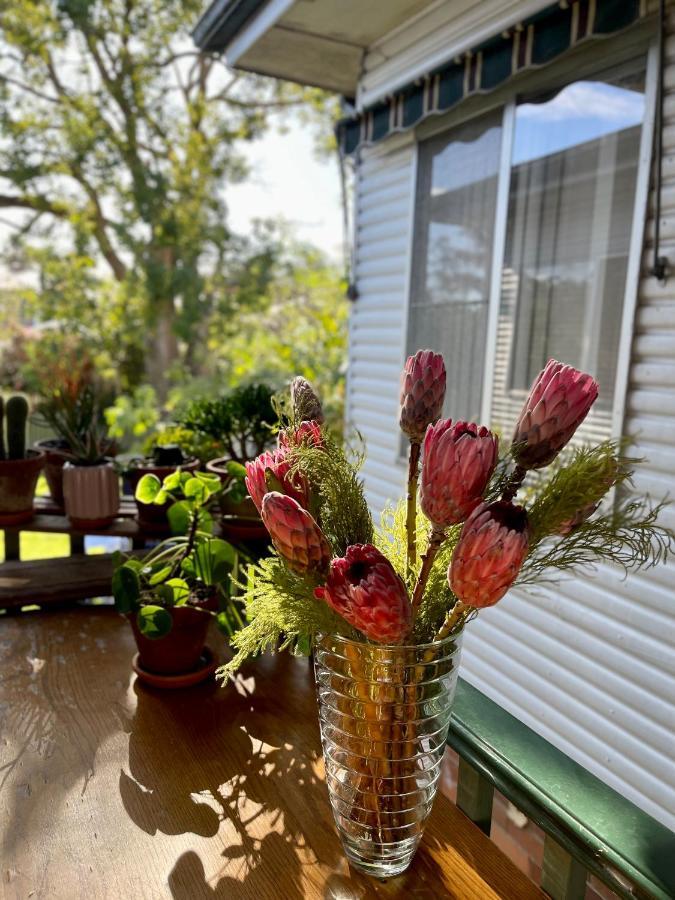 Private In Marsfield/macquarie Park/uni/eastwood Homestay Sydney