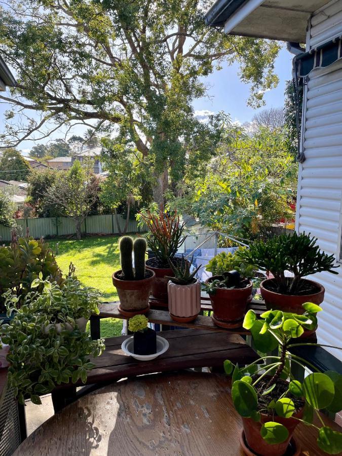 Homestay Private In Marsfield/macquarie Park/uni/eastwood *