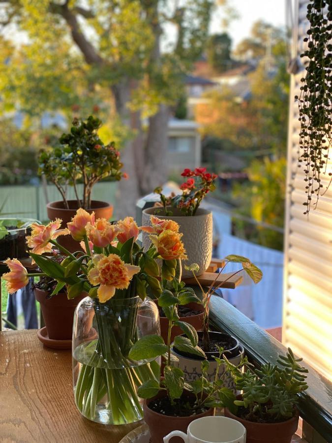 Homestay Private In Marsfield/macquarie Park/uni/eastwood *